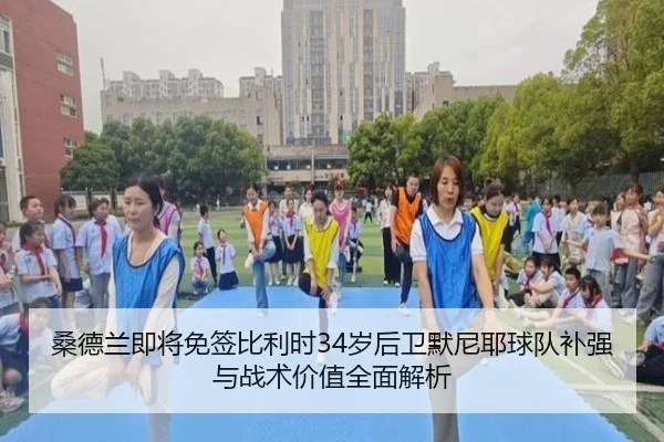 桑德兰即将免签比利时34岁后卫默尼耶球队补强与战术价值全面解析